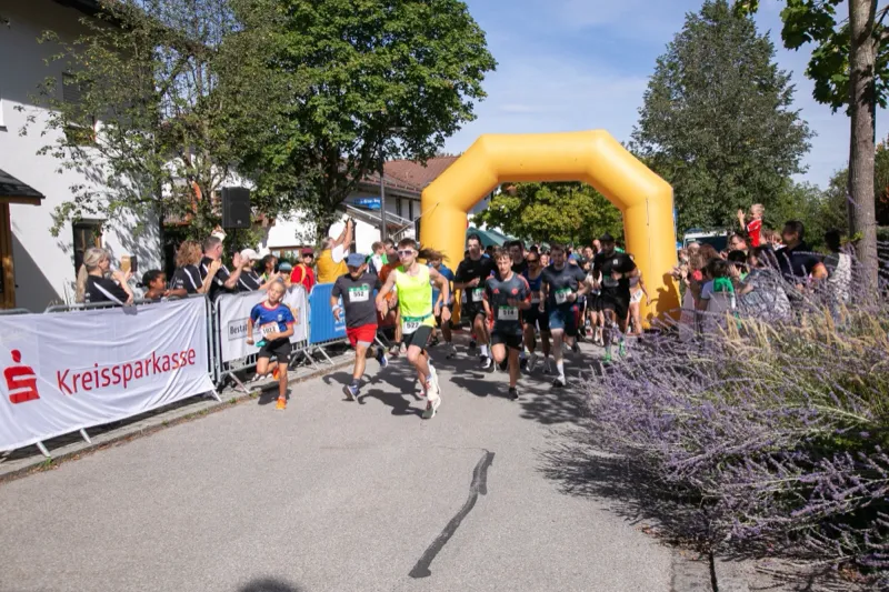 Start des Hauptfelds: Läuferinnen und Läufer laufen vom Startbogen los, links Publikum an der Absperrung, rechts blühender Lavendel.
