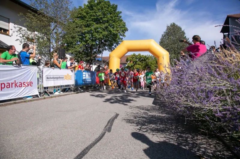Start eines Kinderlaufs: Das Feld läuft unter dem Startbogen los, Zuschauer fotografieren am Rand, rechts Lavendel.